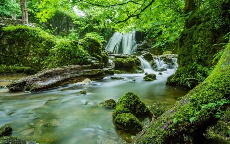 高性能高端